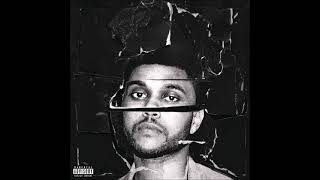 The Weeknd  Shameless 1 Audio Pitch [upl. by Hengel]