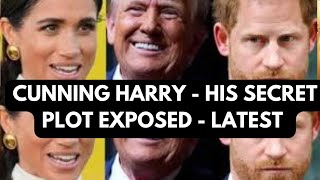 HARRY amp HIS SECRET PLOTS EXPOSED  LATEST NEWS princeharry meghan meghanmarkle [upl. by Aletha]