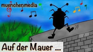 🎵 Auf der Mauer auf der Lauer sitzt ne kleine Wanze  Kinderlieder deutsch  muenchenmedia [upl. by Eatnad]