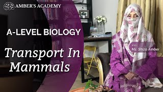 A Level Biology Transport in Mammals  Cambridge 9700  Part 3 [upl. by Aremaj]