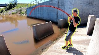 Surprise BIG FISH Catch from Stagnant Spillway [upl. by Orag]