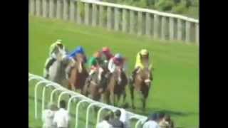 Double Trigger The 1995 Ascot Gold Cup [upl. by Karalee]