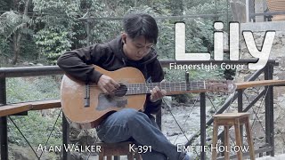 Lily  Alan Walker K391 amp Emelie Hollow  Guitar Cover by RAF [upl. by Key]