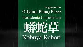 May 14 2024 Nobuya Kobori Song No017851 Elatostema Umbellatum 蟒蛇草 [upl. by Lovmilla]