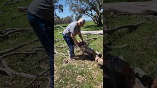 Buhay sa Australia cutting firewood using chainsaw [upl. by Aborn]