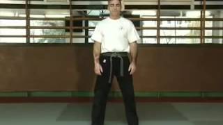 ceinture jaune programme krav maga [upl. by Teodora750]