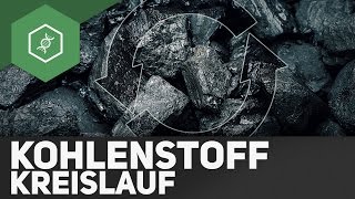 Kohlenstoffkreislauf – Stoffkreisläufe 3 [upl. by Kcam]