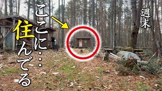 自作の山小屋に泊まろう！ポータブル電源で週末山小屋暮らし！ [upl. by Claribel117]