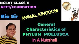 General Characteristics of Mollusca  Basis of Classification of Animal Kingdom [upl. by Dagmar661]