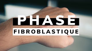 Phase FIBROBLASTIQUE  Réparation TISSULAIRE phase aiguë [upl. by Vashtee]