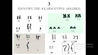 Anatomy Revision [upl. by Eeram]