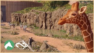 Giraffe amp Zebra Habitat  Desert Adventure Park  Planet Zoo [upl. by Clifton]