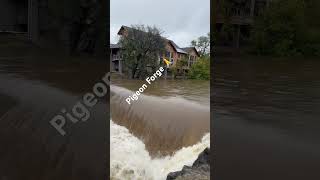 Old Mill site in Pigeon Forge bracing for Hurricane Helene pigeonforge [upl. by Aneehsar141]