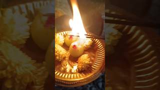 ఉసిరి దీపం ఎందుకు పెట్టాలి🕉️ karthikamasamusirideepam amladevotionallordshivasubscribetrend [upl. by Fidelis]