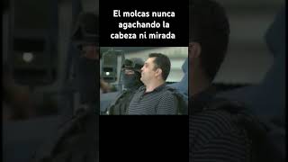 El molcas tiktok humor mexico comedia memes [upl. by Licastro]