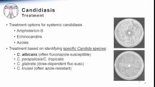 Candida Systemic Candidiasis Treatment amp Prevention [upl. by Stahl]