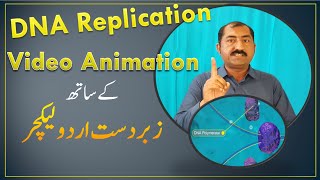 DNA Replication Video Animation in Urdu [upl. by Winnah]