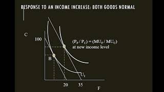 Indifference Curve and Budget Line Economics [upl. by Notgnimer159]