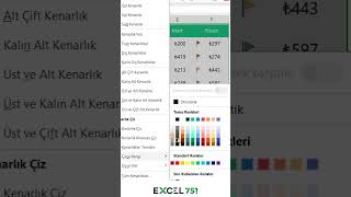 Excelde Farklı Renkte Kenarlık Atamanın Kolay Yolu  EXCEL 751 [upl. by Genvieve]