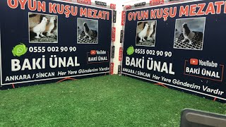 🏆❗👑 Canlı Güvercin Mezatı Mezat BAKİ ÜNAL 🏆❗👑 [upl. by Inaluahek]