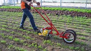 Terrateck  Double wheel hoe cultivator with finger weeder [upl. by Rodrick]