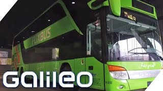 Flixbus  Wie wurde das Startup so erfolgreich  Galileo  ProSieben [upl. by Hermon]