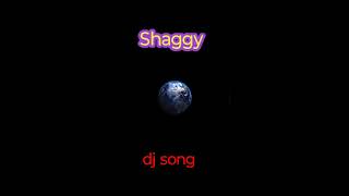 Shaggy DJ song copyright free video shaggy songs life is one big party djremix party shaggy dj [upl. by Fabrianne]