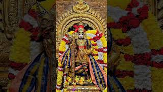 murugan song  Tamil Devotional Songs  murugan songs tamil murugansongs [upl. by Etteinotna]