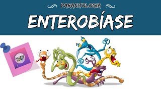 ENTEROBÍASE OXIURÍASE  PARASITOLOGIA 8 [upl. by Wong]