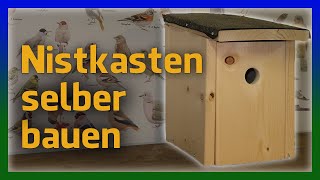 Nistkasten selber bauen  richtig aufhängen DIY Nistkästen für Meisen einfach [upl. by Aisya]