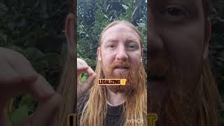 Legalise Cannabis UK remixed [upl. by Yleve]