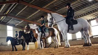 Equine Care amp Management at Hopwood Hall College and University Centre [upl. by Heisser]