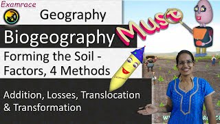 Forming the Soil  Factors 4 Methods and 13 Types Dr Manishika  Examrace [upl. by Knitter]