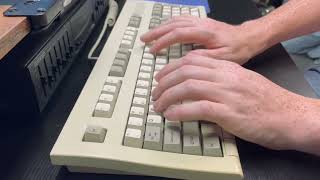 Chicony KB5591 typing demo SMK Alpsmount [upl. by Htaek]