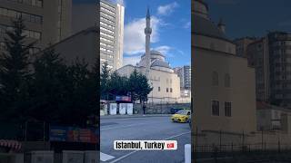 Stunning Mosques of Istanbul  A must visit [upl. by Ahouh]