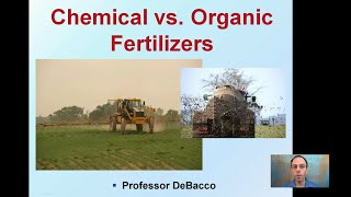 Chemical vs Organic Fertilizers [upl. by Elva]