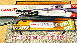 GAMO Varmint Air Rifle 177 Cal Break Barrel  Unboxing and Review [upl. by Nomsed551]