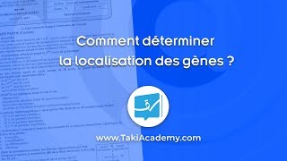 Comment déterminer la localisation des gènes [upl. by Lehcem]