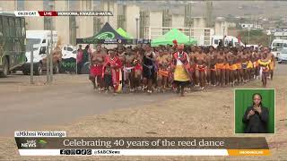 Reed Dance  Thousands of maidens to descend on AmaZulu Royal Palace of Enyokeni [upl. by Olivero331]