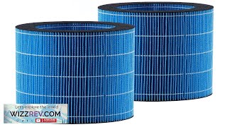 Evaporative Humidifier Replacement Filter 2Pack for Our 5L132G Model Review [upl. by Glennie58]