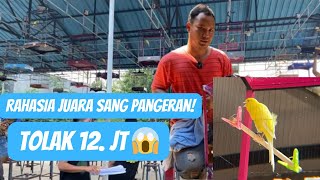 KENARI JUARA NASIONAL main latber  bongkar rawatan stabil juara ⁉️ [upl. by Idnarb]