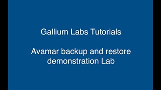 Avamars backup polices FLR recovery and full Vm recovery [upl. by Cohlier]