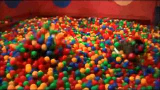 ball pit bazinga 10 mins [upl. by Anjanette]