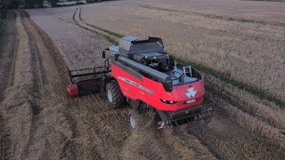 Moisson des blés 2021🌾 avec une batteuse Massey Ferguson et un New Holland T7 🚜🔴🔵 [upl. by Sochor777]