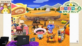 Jugando un poco de Animal Crossing Pocket Camp Día 21 2  SteveKingBob95552015 [upl. by Aynwat]