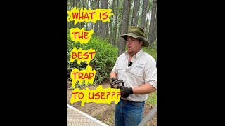 The Ultimate Wild DogPredator Trap [upl. by Hound]