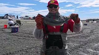 Dipnetting at Kasilof Beach Alaska alaska fishing [upl. by Medardas5]