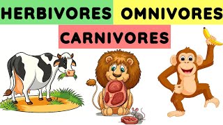 Herbivores carnivores and omnivores  Animals and their food  Eating habits of animals herbivores [upl. by Ayerf]