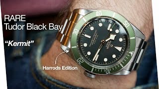 Tudor Black Bay 58 vs Omega Seamaster  Which Should You Buy [upl. by Ralfston442]