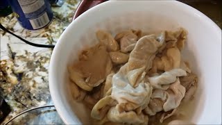 Chitterlings Meso Cleans and Cooks Aunt Bessies Chitlins and Pepper [upl. by Magnolia]